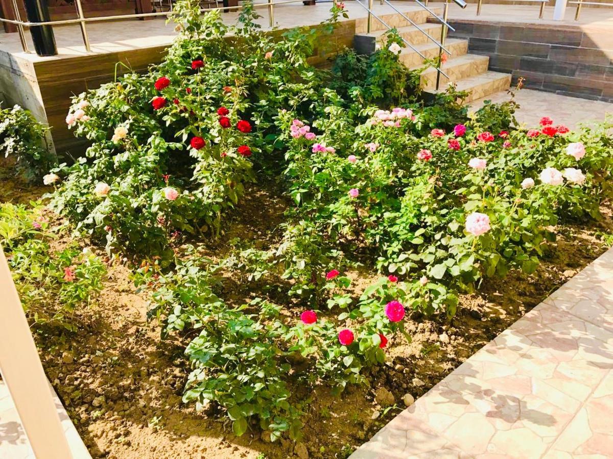 Мини-Отель Кристалл Tsandrypsh Exterior photo